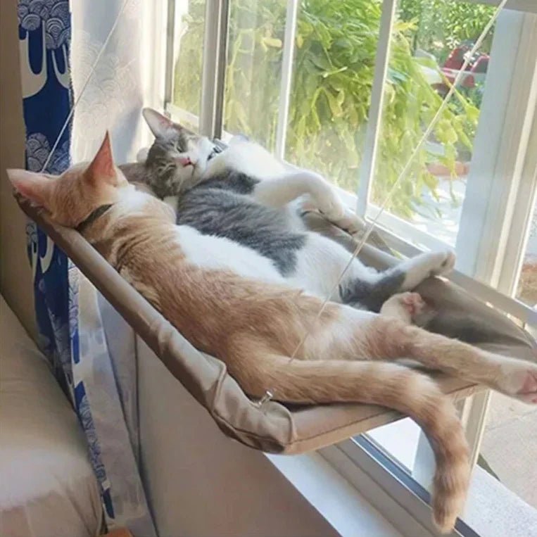 Hamac Chat - PetCatHangingBed™ - Jaune Clair - Empire Du Chat