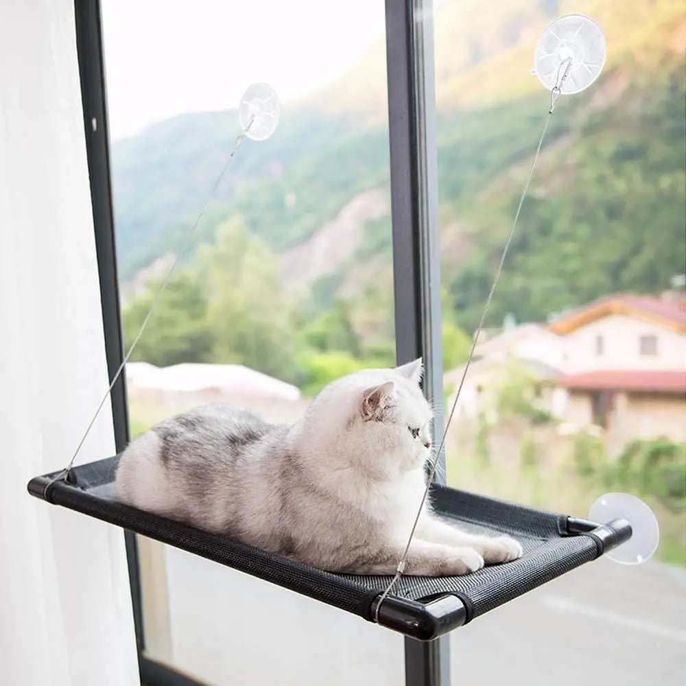 Hamac Chat - PetCatHangingBed™ - Noir - Empire Du Chat