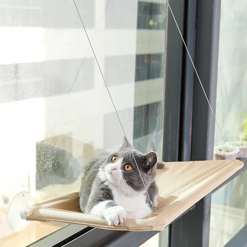 Hamac Chat - PetCatHangingBed™ - Jaune Clair - Empire Du Chat