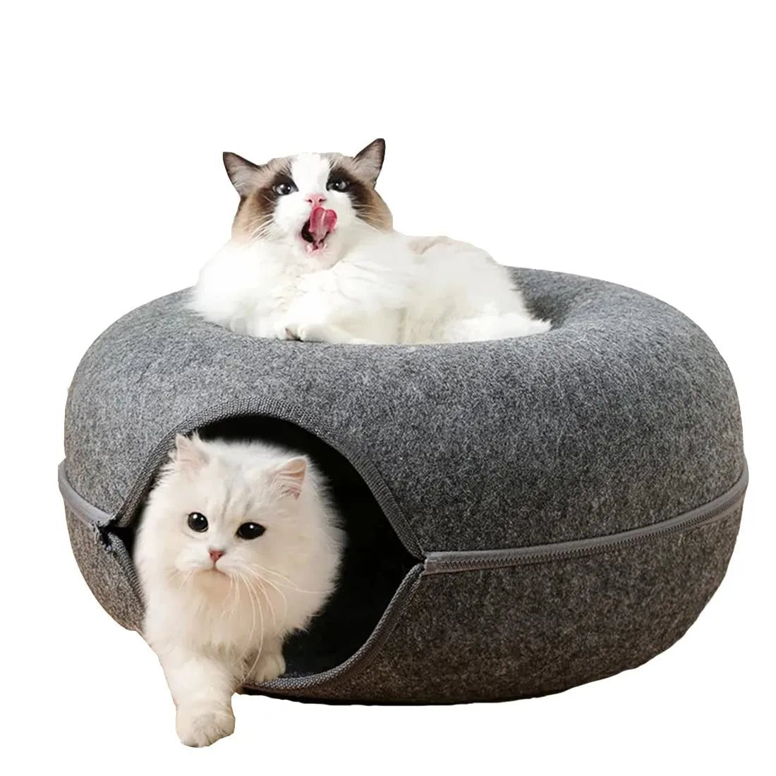 Lit pour Chat - ChatCondo™ - Gris Foncé - Empire Du Chat