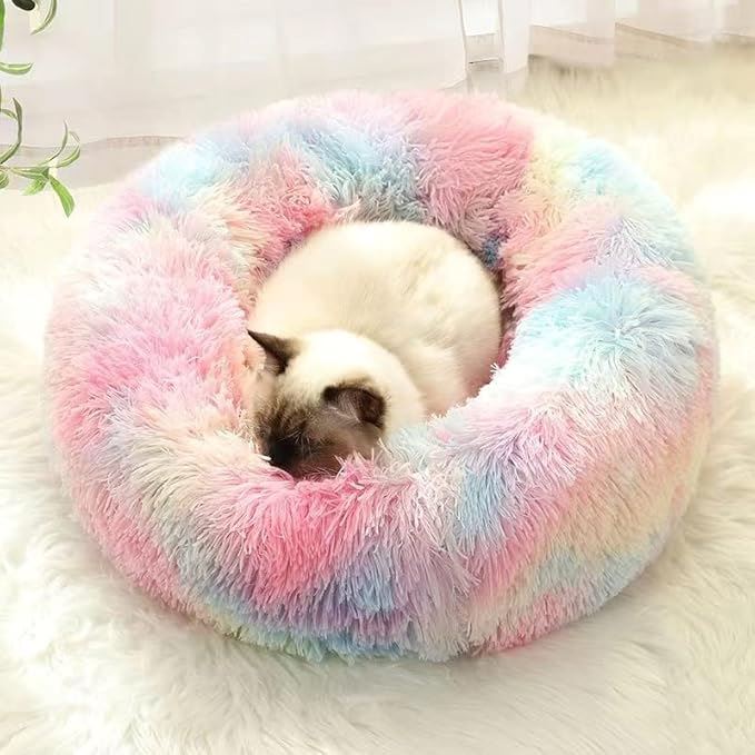Lit pour Chat - CatLitTunnel™ - Multicolore - Empire Du Chat