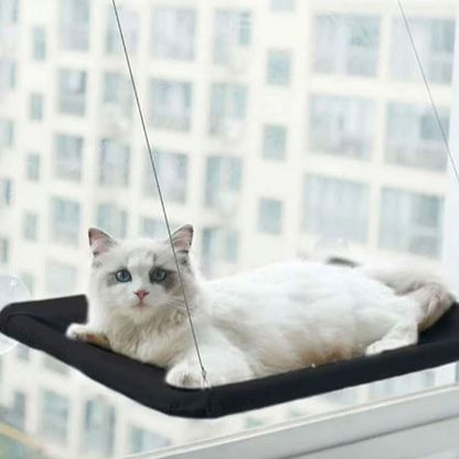 Hamac Chat - PetCatHangingBed™ - Noir - Empire Du Chat