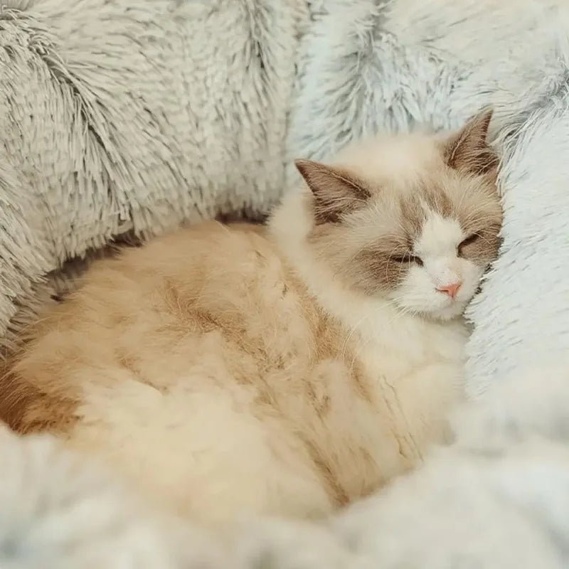 Lit pour Chat - CatLitTunnel™ - Gris - Empire Du Chat