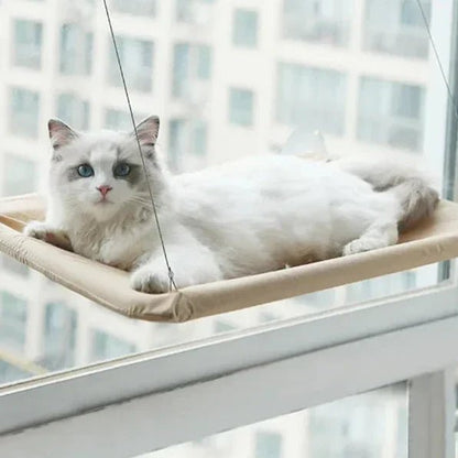 Hamac Chat - PetCatHangingBed™ - Jaune Clair - Empire Du Chat